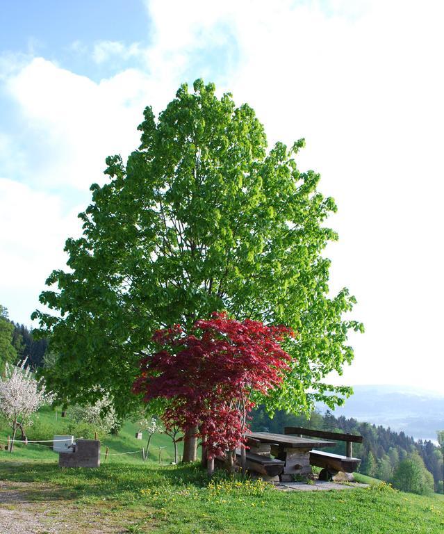 迪弗格拉根 Hochsernerhof酒店 外观 照片